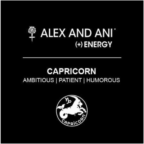 Alex & Ani Capricorn Charm Bangle Russian Silver - Picture 6 of 6